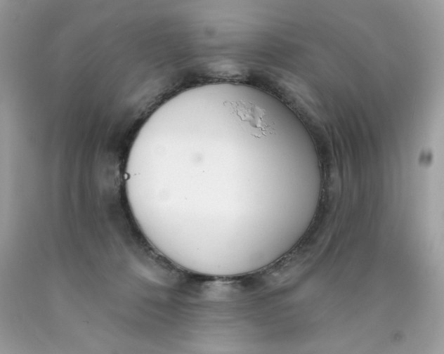 X0000089940320200707201909