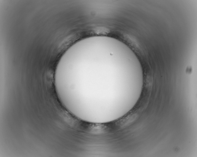 X0000089940321200707201909
