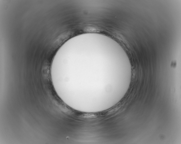 X0000089940322200707201909