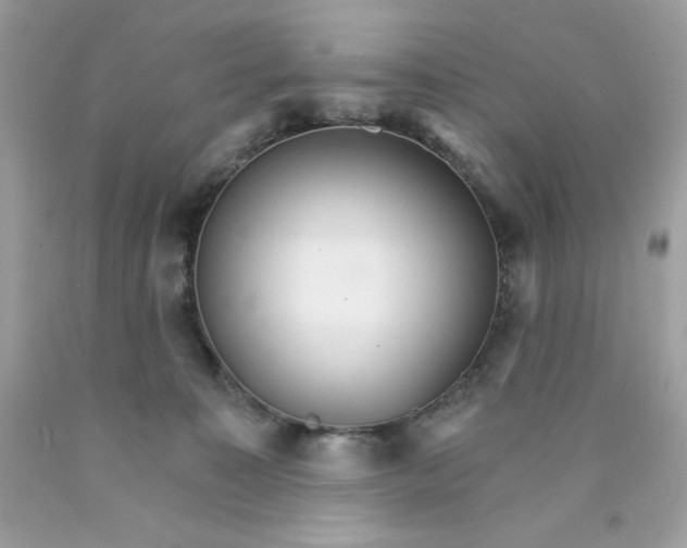 X0000089940323200707201909