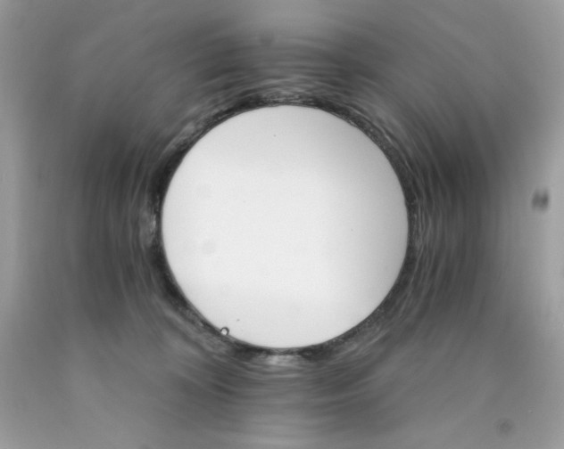 X0000089940324200707201909