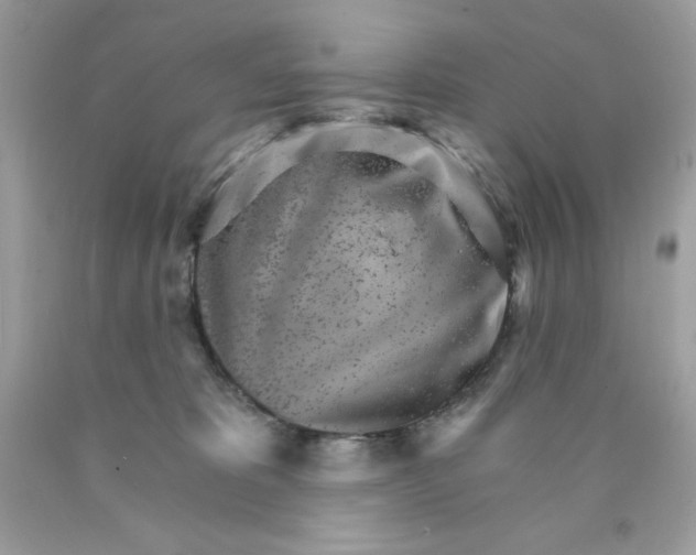 X0000089940325200707201909