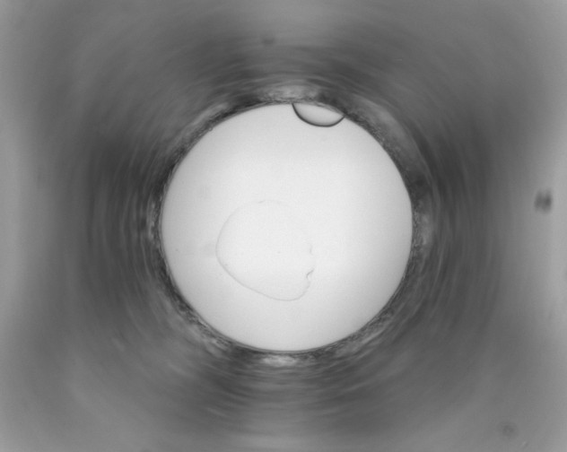 X0000089940326200707201909