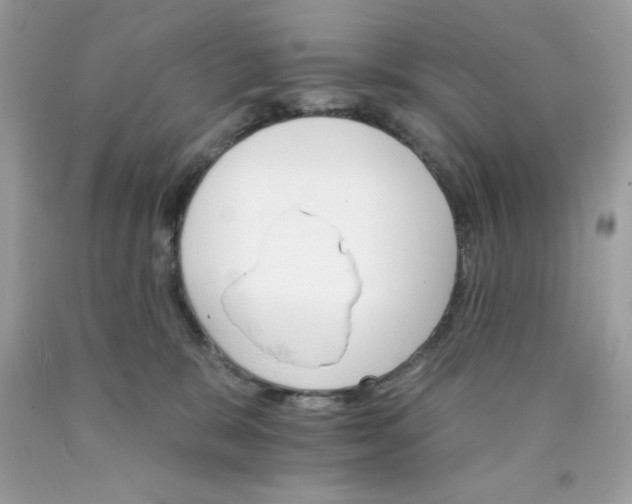 X0000089940327200707201909