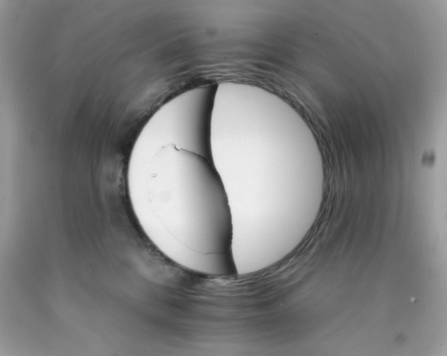 X0000089940328200707201909