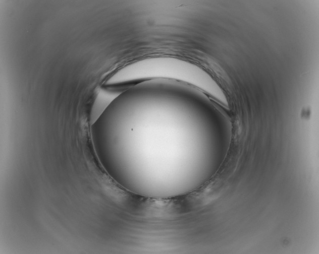 X0000089940329200707201909