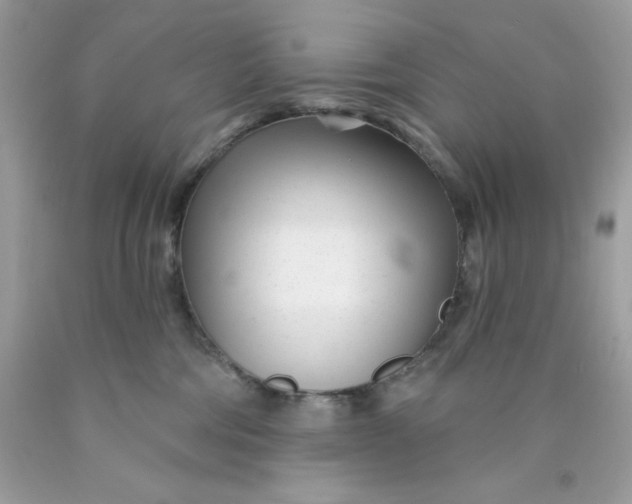 X0000089940330200707201909