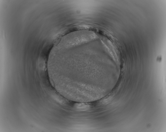 X0000089940331200707201909
