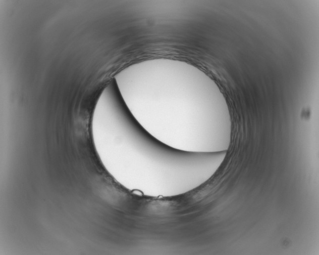 X0000089940332200707201909