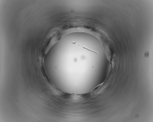 X0000089940333200707201909