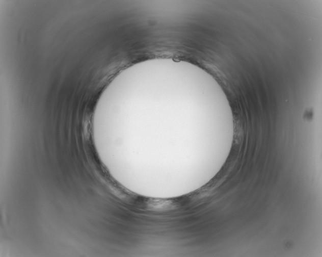 X0000089940334200707201909