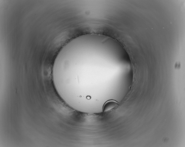 X0000089940336200707201909