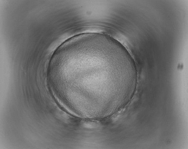 X0000089940337200707201908
