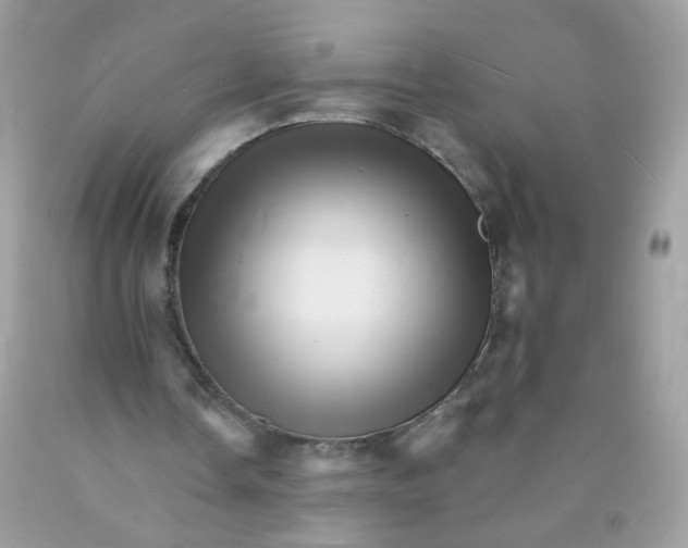 X0000089940338200707201908