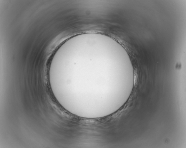 X0000089940339200707201908