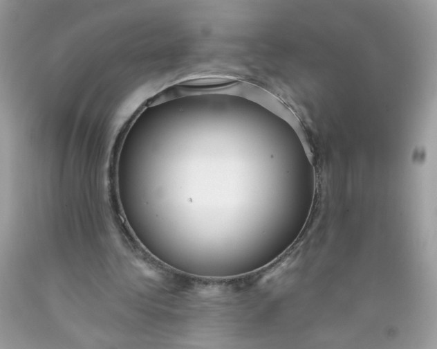 X0000089940340200707201908