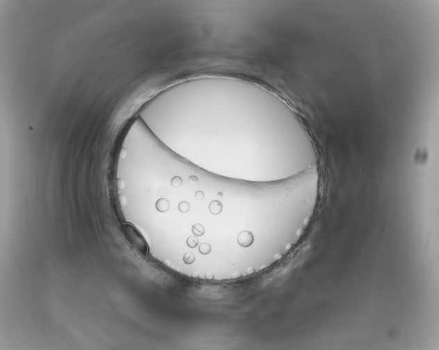 X0000089940341200707201908