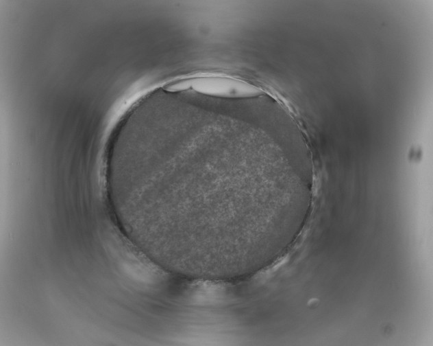 X0000089940343200707201908