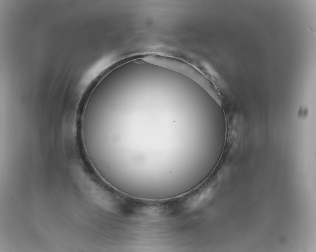 X0000089940344200707201908