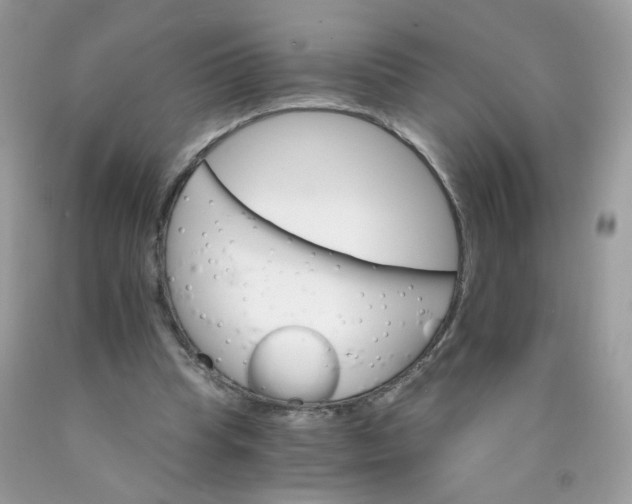 X0000089940345200707201908
