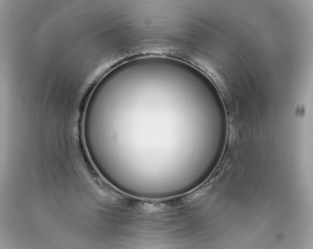 X0000089940346200707201908