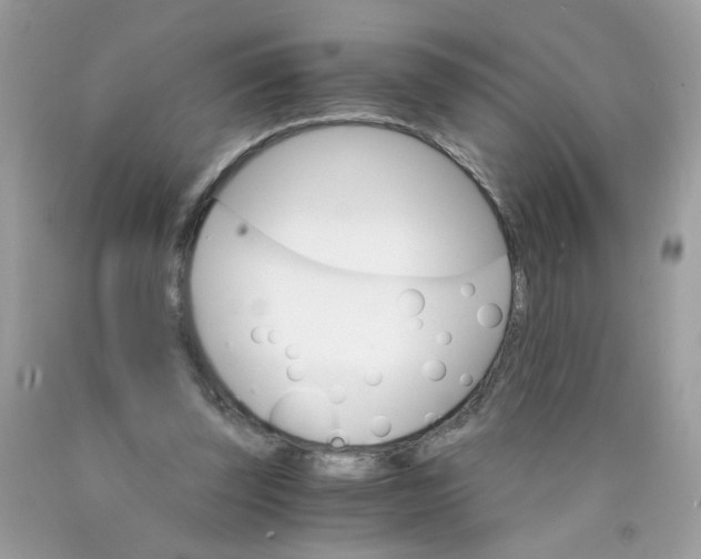 X0000089940347200707201908