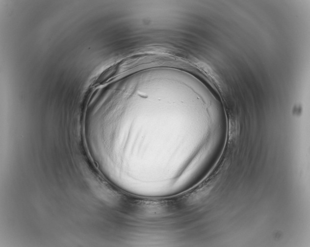 X0000089940349200707201908