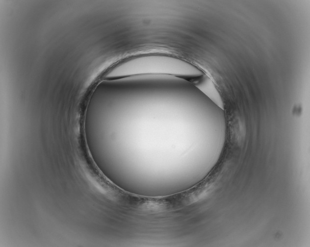 X0000089940350200707201908