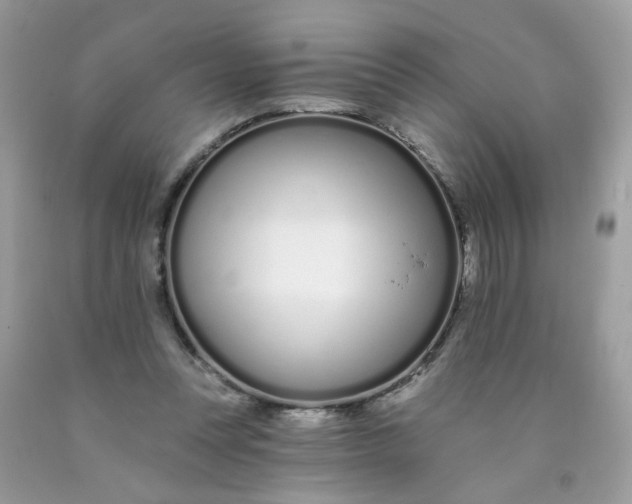 X0000089940351200707201908
