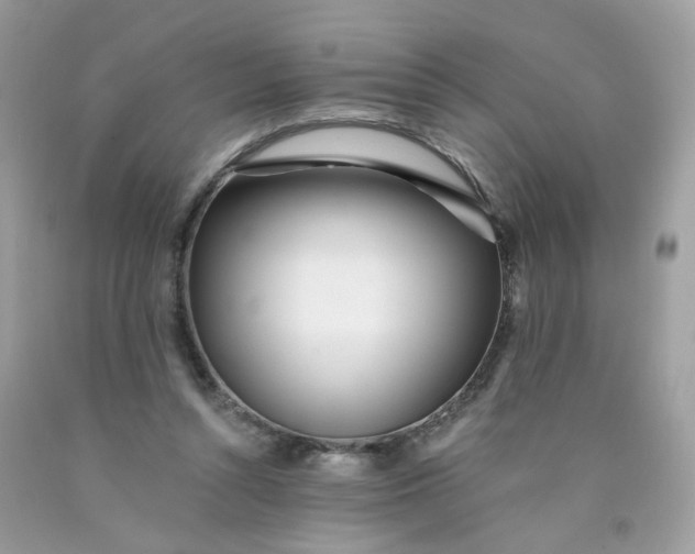 X0000089940352200707201908