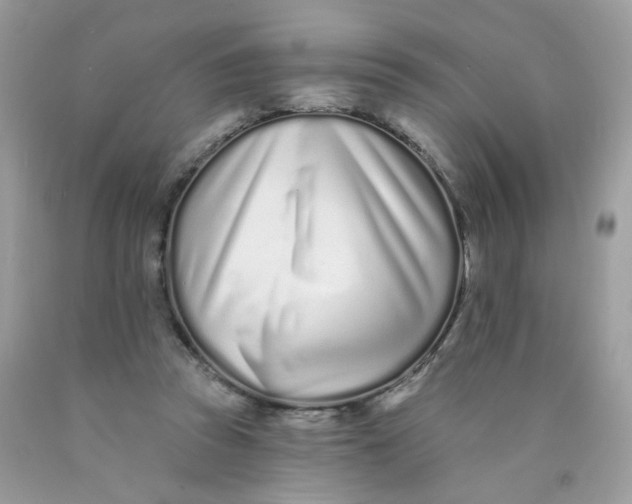 X0000089940353200707201908