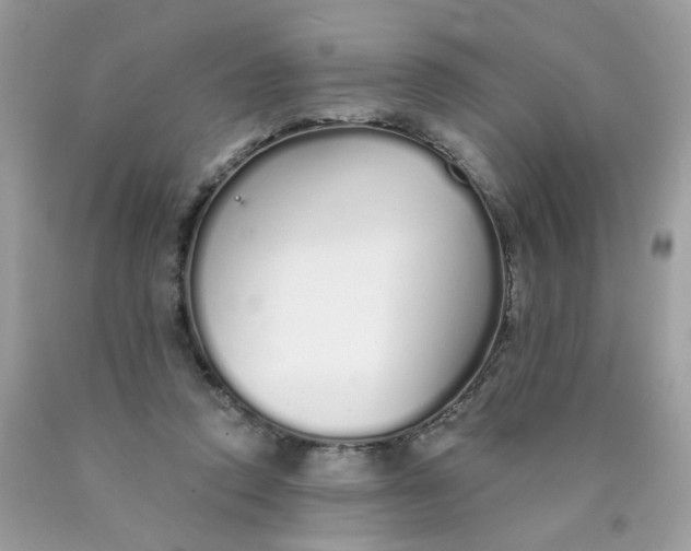 X0000089940354200707201908