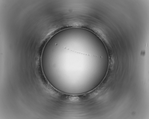 X0000089940355200707201908