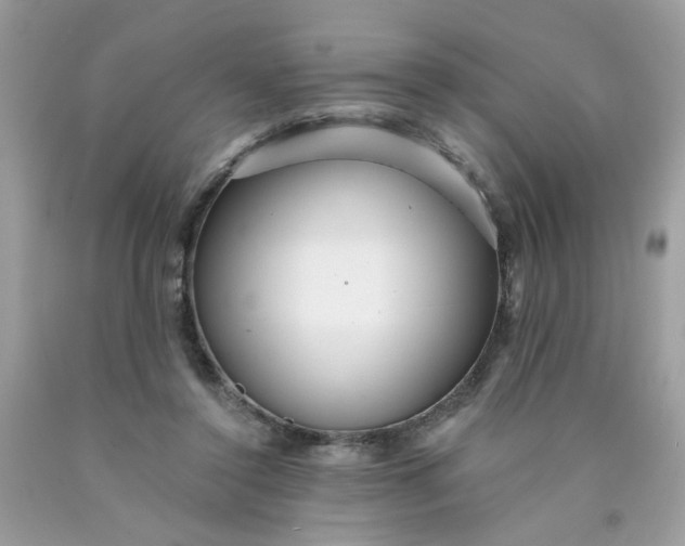 X0000089940356200707201908