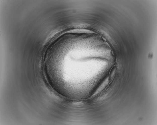 X0000089940357200707201908