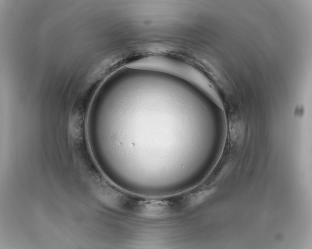 X0000089940359200707201908