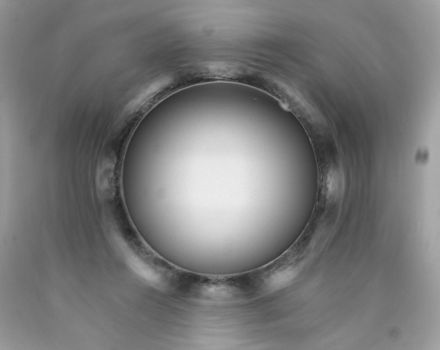 X0000089940360200707201908