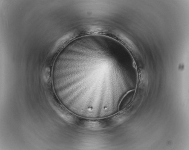 X0000089940361200707201908