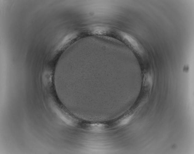 X0000089940363200707201908