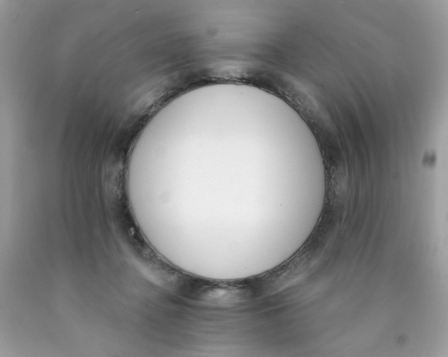 X0000089940364200707201908