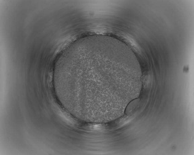 X0000089940365200707201908
