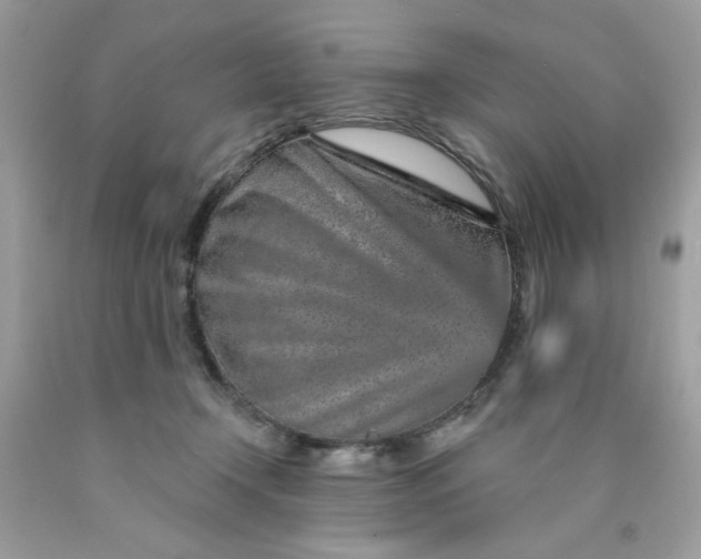 X0000089940366200707201908