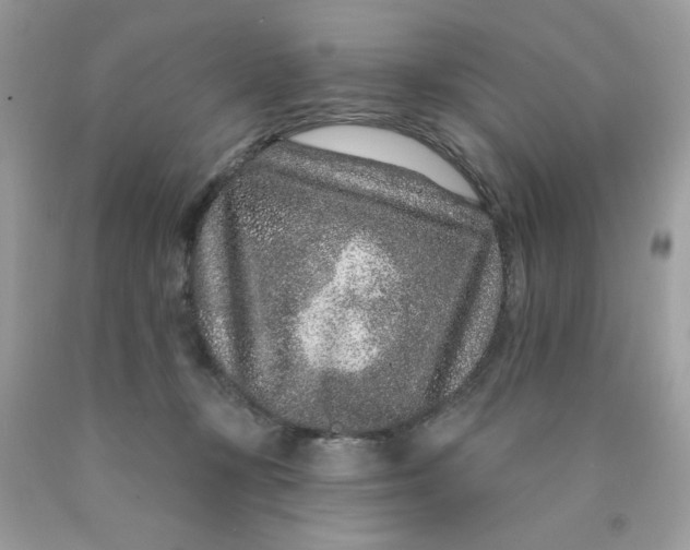 X0000089940367200707201908