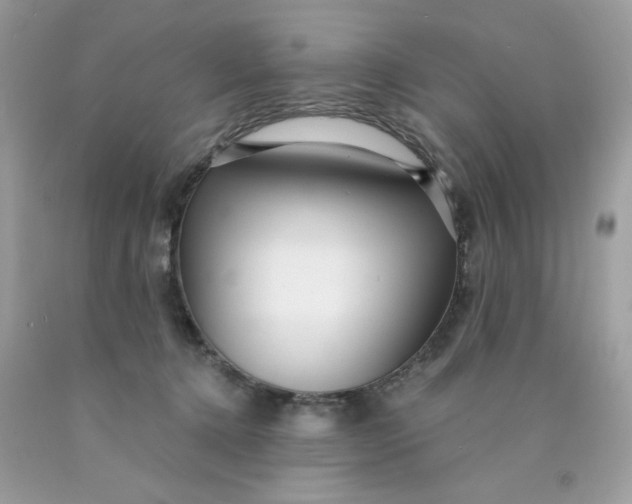 X0000089940368200707201908