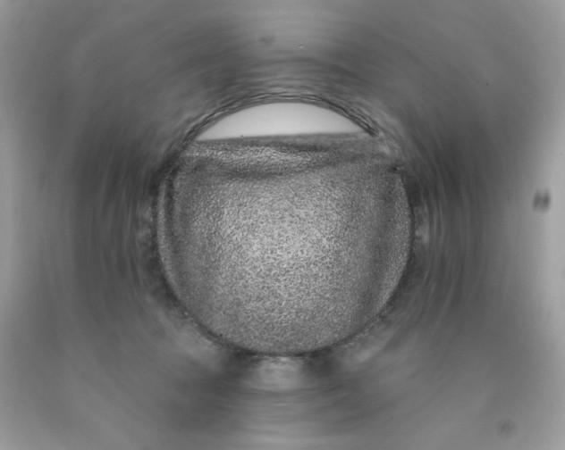X0000089940369200707201908