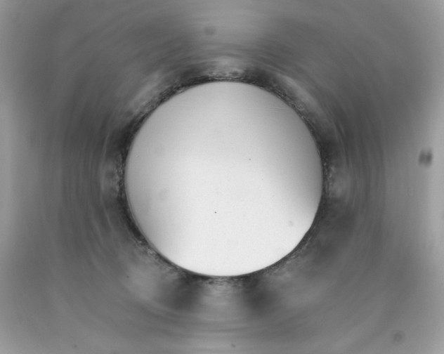 X0000089940370200707201909