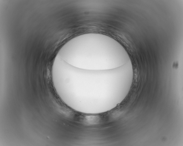 X0000089940371200707201909