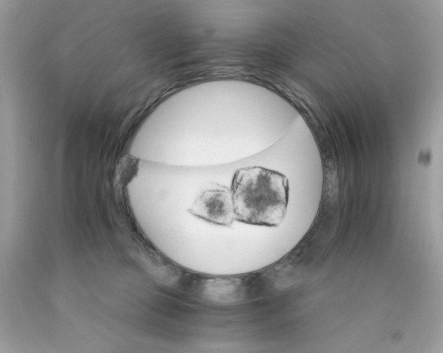 X0000089940373200707201909