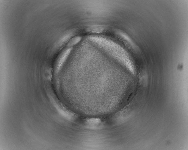 X0000089940374200707201909
