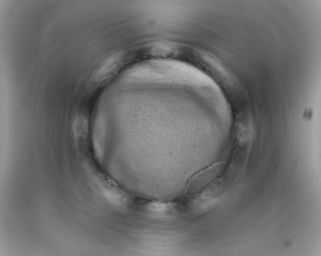 X0000089940375200707201909